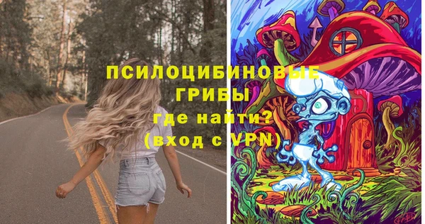 дмт Кинешма