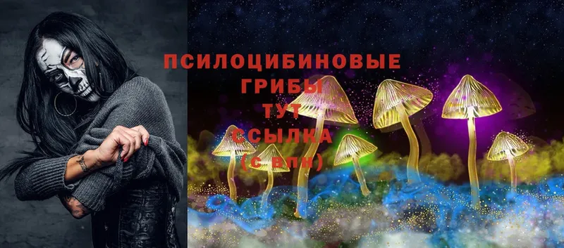 Галлюциногенные грибы Magic Shrooms  мега tor  Липки 