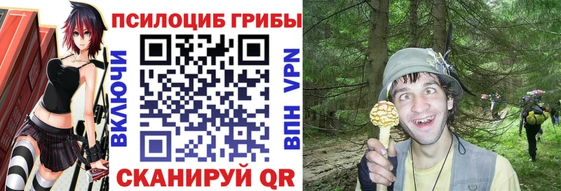 Псилоцибиновые грибы MAGIC MUSHROOMS  гидра как зайти  Липки 